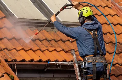 Démoussage et hydrofuge de toiture à Roderen